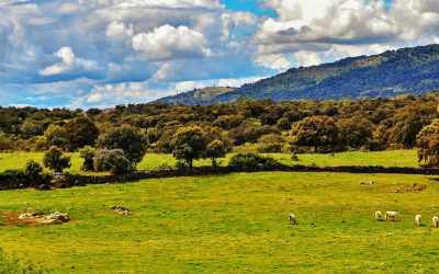 Tres rutas de cine para tus vacaciones de septiembre