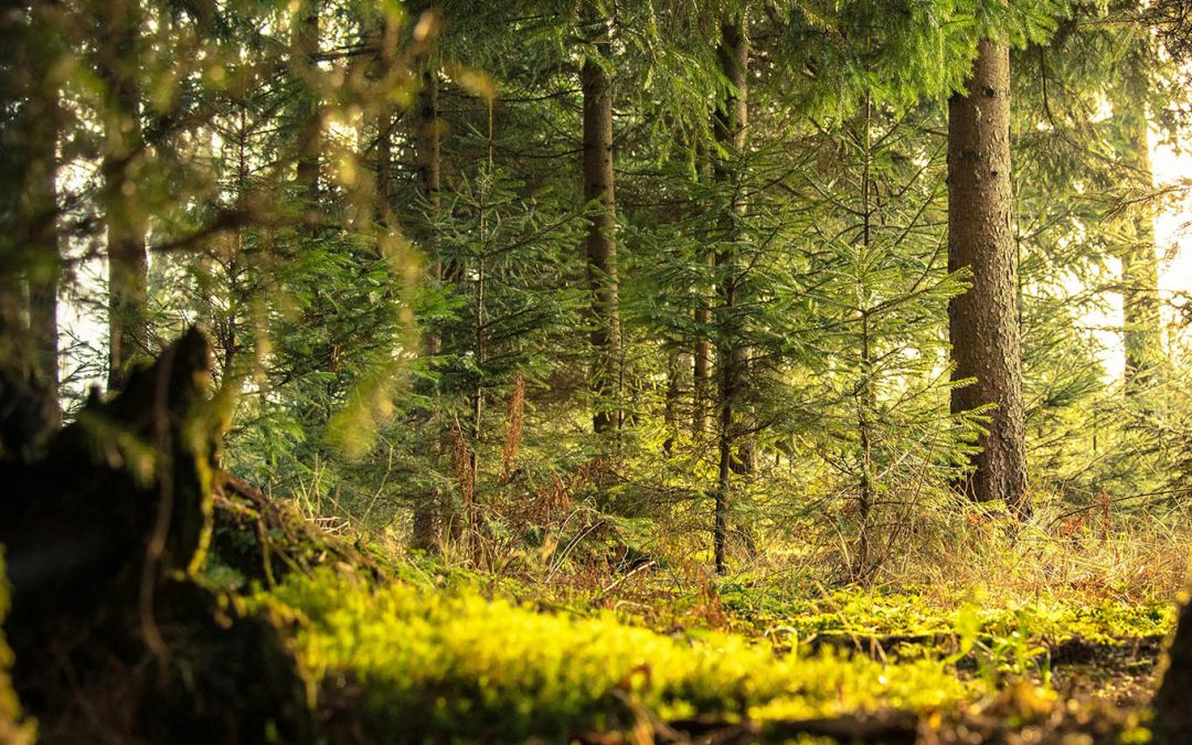 Ruta cinematográfica del cine bélico en España